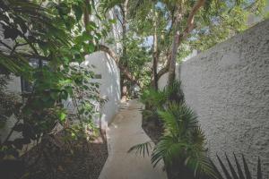 Ein Garten an der Unterkunft Sotavento Hotel & Yacht Club