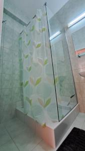 une douche avec une porte vitrée dans une salle de bain dans l'établissement Erika Panzió, à Ditrău