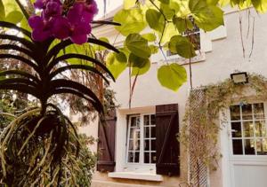 a plant with purple flowers in front of a house at LE JARDIN DE LA PICHONNERIE Chambres d'hôtes in Thésée