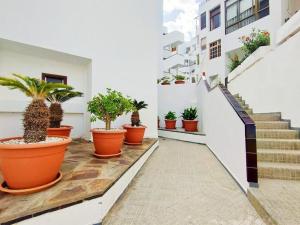 a corridor of a building with potted plants at Los Cristianos Aqua Viva in Los Cristianos