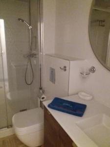 une salle de bain avec toilettes, douche et lavabo dans l'établissement biarritz cote des basques VUE SUR MER, à Biarritz