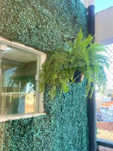 a green ivy covered building with a window at Recanto Central Premium in Vitória da Conquista