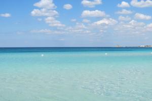 Táj Show holiday homes közelében