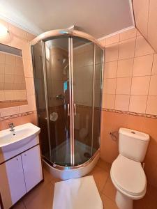 une salle de bains avec douche, toilettes et lavabo dans l'établissement Z widokiem na Giewont, à Kościelisko 30 autres photos