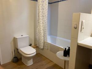a bathroom with a toilet and a bath tub at Le Noyer sur Lot in Prayssac +18 photos