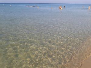 Táj Show holiday homes közelében