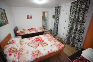 Postel nebo postele na pokoji v ubytování Casa Ion