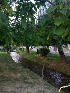 Foto dalla galleria di 2Rivers a Săsciori