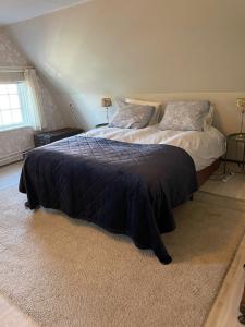 Un dormitorio con una cama grande con una manta azul. en "Het Steechje" in Ie bij Schiermonnikoog en Ameland, en Ee