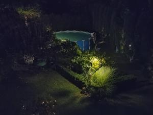 an overhead view of a bath tub in a yard at night at Guest House Dimitrije in Niška Banja