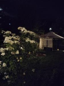 a bush with white flowers in front of a gazebo at night at Guest House Dimitrije in Niška Banja