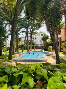 Swimmingpoolen hos eller tæt på Jardin Alhambra Holiday Apartment