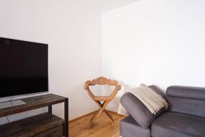 تلفاز و/أو أجهزة ترفيهية في Authentic Austrian Flat in the South of Vienna