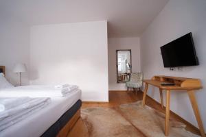 تلفاز و/أو أجهزة ترفيهية في Authentic Austrian Flat in the South of Vienna