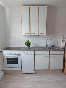Η κουζίνα ή μικρή κουζίνα στο Waldapartment +3 φωτογραφίες