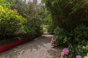 Zahrada ubytování Mulino di Castelvecchio