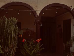 Fotografie z fotogalerie ubytování Hostal 509 v destinaci El Paraíso + 10 fotografií