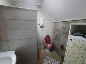 ein kleines Badezimmer mit Toilette und Waschbecken in der Unterkunft Villa Luna Misevici in Hadžići