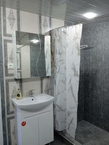 Un baño con lavabo y cortina de ducha. en Mush Guest House in Sanahin, en Alaverdi