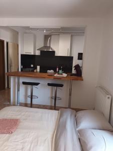 Η κουζίνα ή μικρή κουζίνα στο Salon Villepinte, aéroport