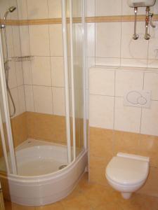 een badkamer met douche en toilet bij Rodinné Apartmány in Deštné v Orlických horách