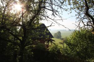 a house with the sun shining through the trees at Chata Johanka & Sauna in Jevíčko