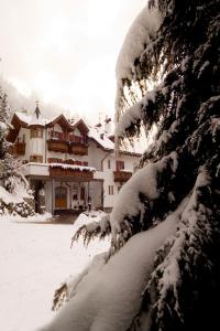 Hotel Waldheim Belvedere v zimě