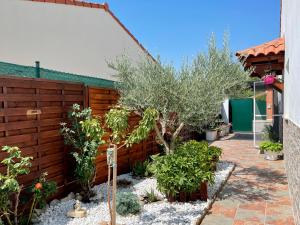 Billede fra billedgalleriet på Casa Ozcoidi, acogedor alojamiento con jardín y piscina en el centro de Navarra i Pitillas