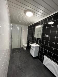 a bathroom with a toilet and a shower and a sink at Studio apartment in Parkano