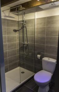 a bathroom with a toilet and a glass shower at Petite Maison de Mouton in Azat-le-Riz +11 photos