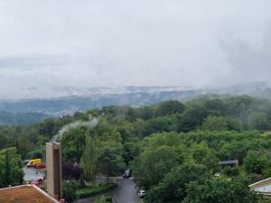 Naturlandskabet i nærheden af lejligheden