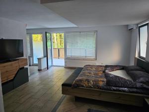 Postel nebo postele na pokoji v ubytování Grmač Apartments
