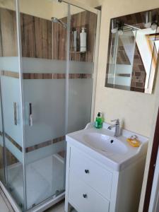 une salle de bains avec douche, lavabo et miroir dans l'établissement Villa " Rosina ", à Fort-Mahon-Plage 33 autres photos