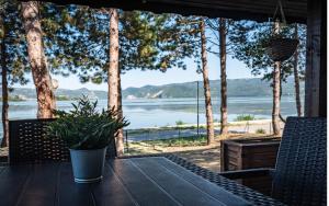 a table with a potted plant sitting on a porch with a view at Borova Bajka - Peace & Privacy by the Danube in Usije