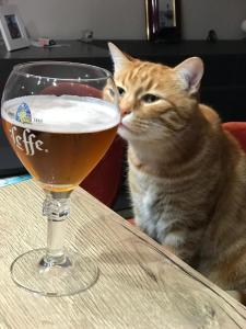 L’oliveraie的酒水