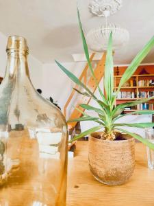 Gallery image of Apartmento SOMA Aljezur in Aljezur