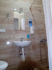 Bilik mandi di Moravska Obala - Prenoćište i Restoran