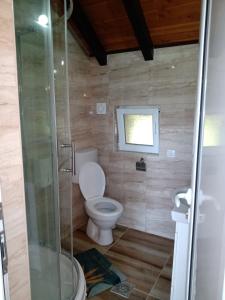 Bilik mandi di Moravska Obala - Prenoćište i Restoran