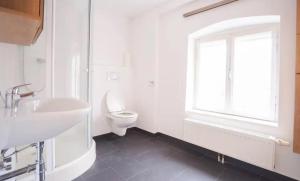 حمام في Authentic Austrian Flat in the South of Vienna