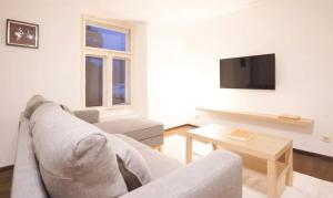 تلفاز و/أو أجهزة ترفيهية في Authentic Austrian Flat in the South of Vienna