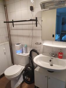 a bathroom with a toilet and a sink at Studio Ceder 1 in Houthalen-Helchteren +10 photos