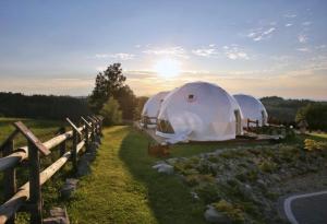 Příroda nedaleko luxury tent