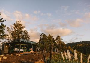 a house on top of a hill with trees at Ruru PurePod in Waikino