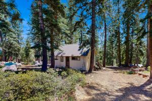 une cabane blanche dans les bois avec des arbres dans l'établissement Bear Valley Cozy Cabin, à Bear Valley