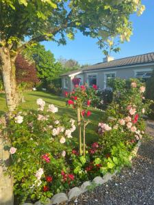 Gallery image of Tranquil Haven Home in Milltown