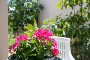 Zahrada ubytování Apartment Podstrana 17586b