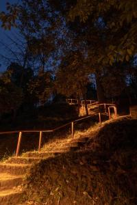 a set of stairs in a park with trees at Buransh Terraces Luxury 3&4BHK Villas with Mountain View & Caretaker & Kitchen & Complementary Breakfast in Bhowāli