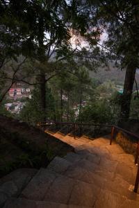a stairway leading up to a hill with trees at Buransh Terraces Luxury 3&4BHK Villas with Mountain View & Caretaker & Kitchen & Complementary Breakfast in Bhowāli +91 photos