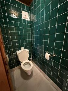 a bathroom with a toilet and green tiled walls at Landhaus Zwanzleitner in Filzmoos +6 photos
