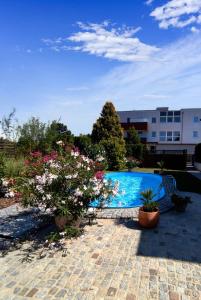 Πισίνα στο ή κοντά στο Appartement Ferienhaus Sonnenhain
